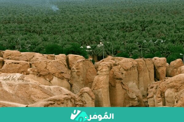 المحطة الرابعة والأخيرة: زيارة سوق الحرفيين في الأحساء