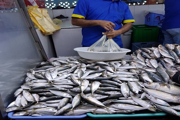 سمك سوبر ماركت السعودي