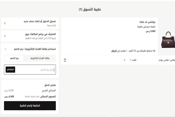 شراء شنط دولتشي اند غابانا ميني ليفل شوز