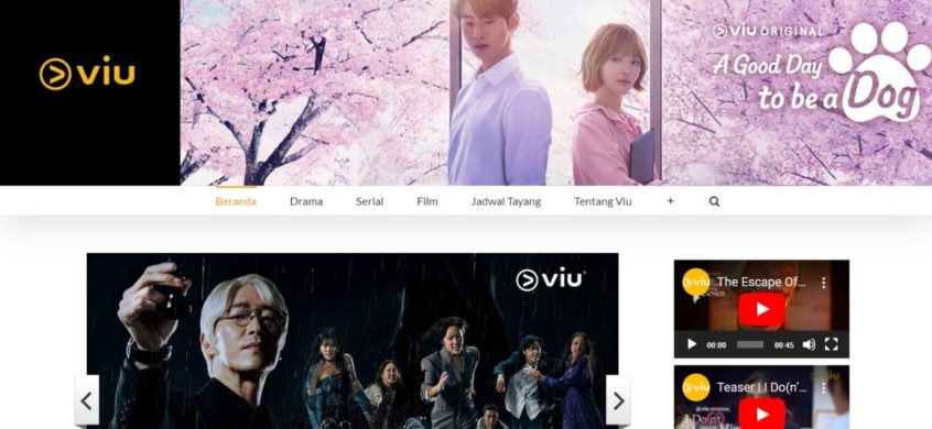 blog-Viu