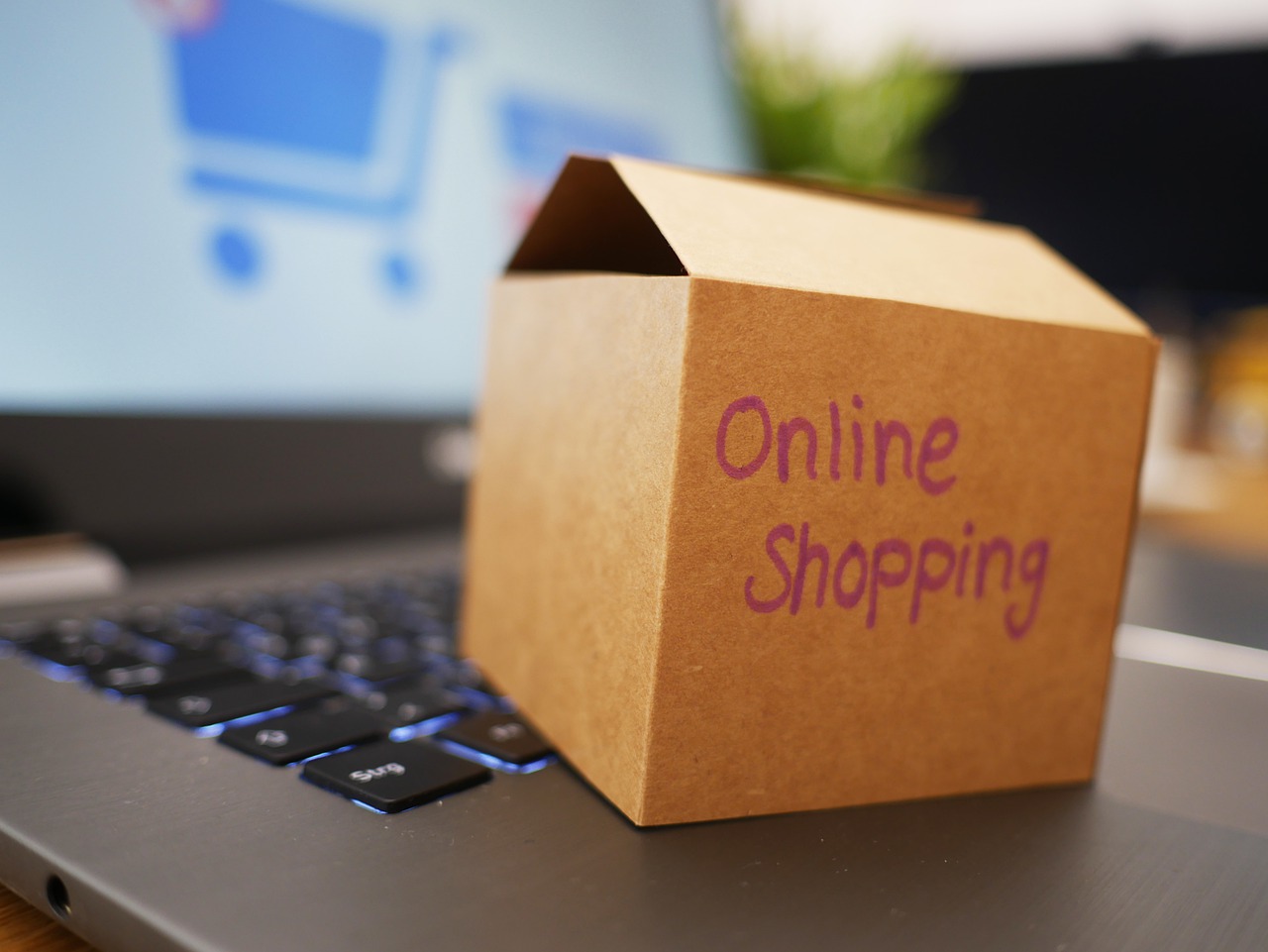 Online Shopping Box